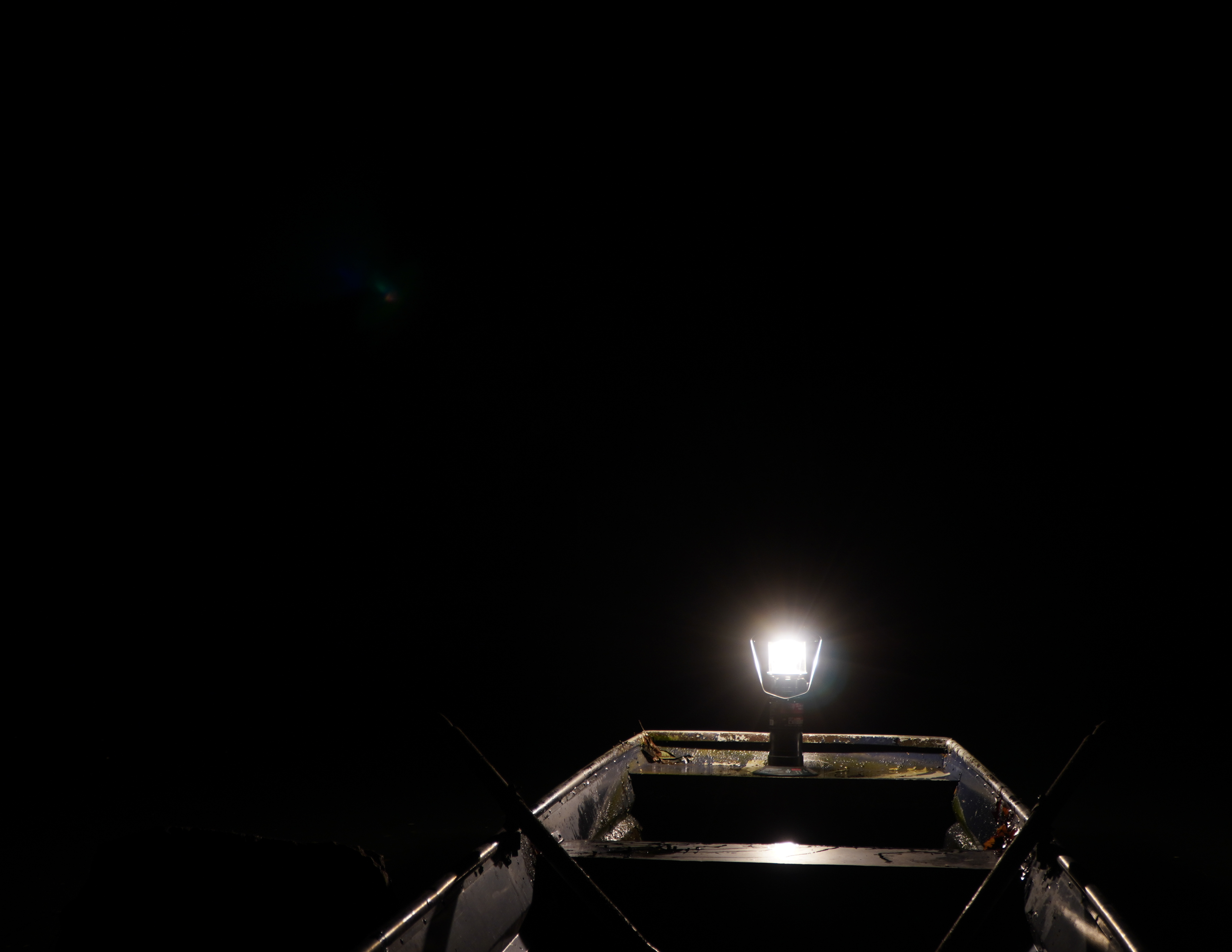 Light - image 2