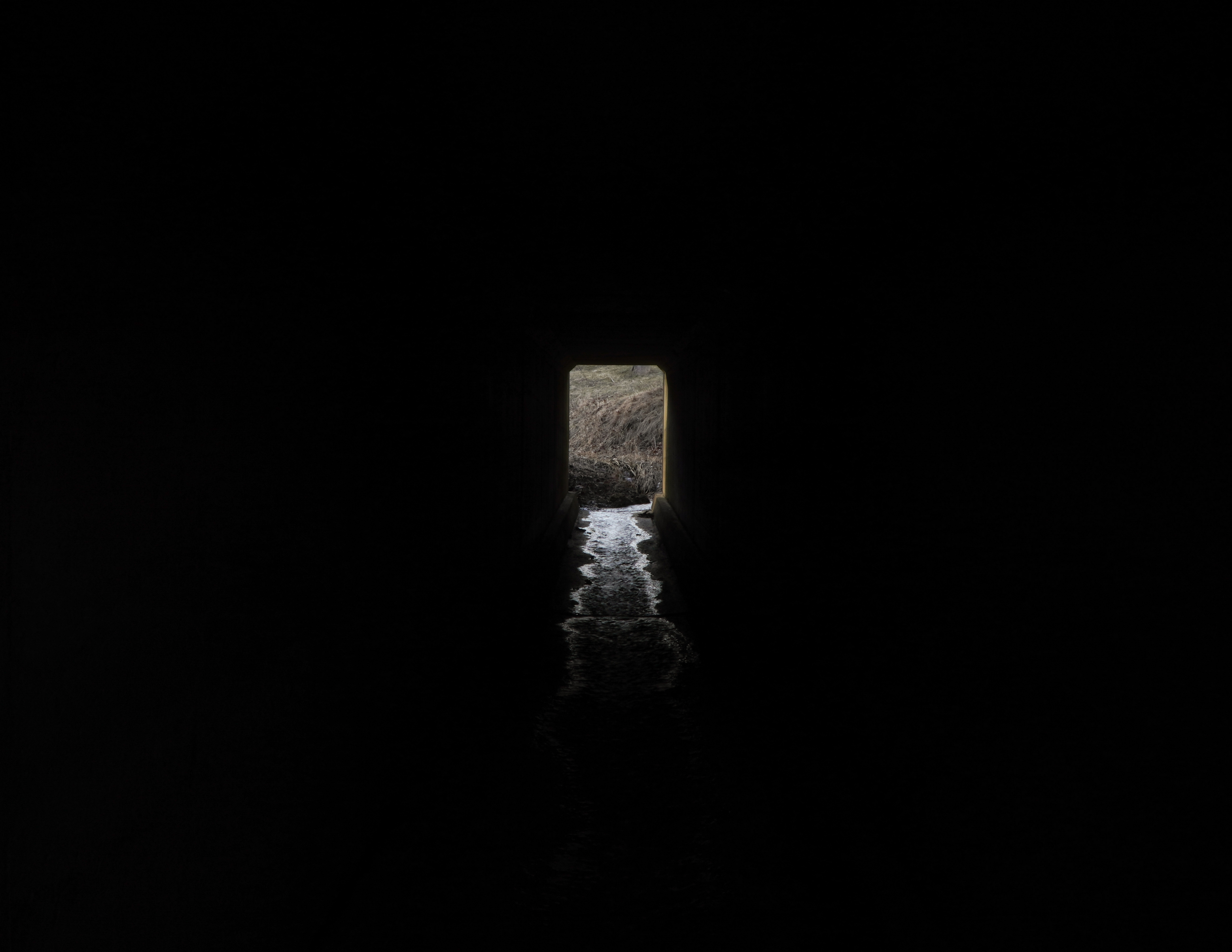 Light - image 6